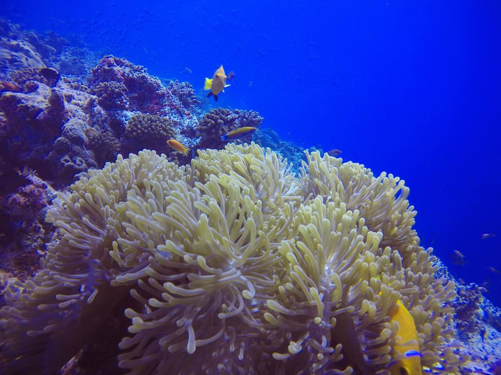 Holiday Home Rasdhoo Bagian luar foto