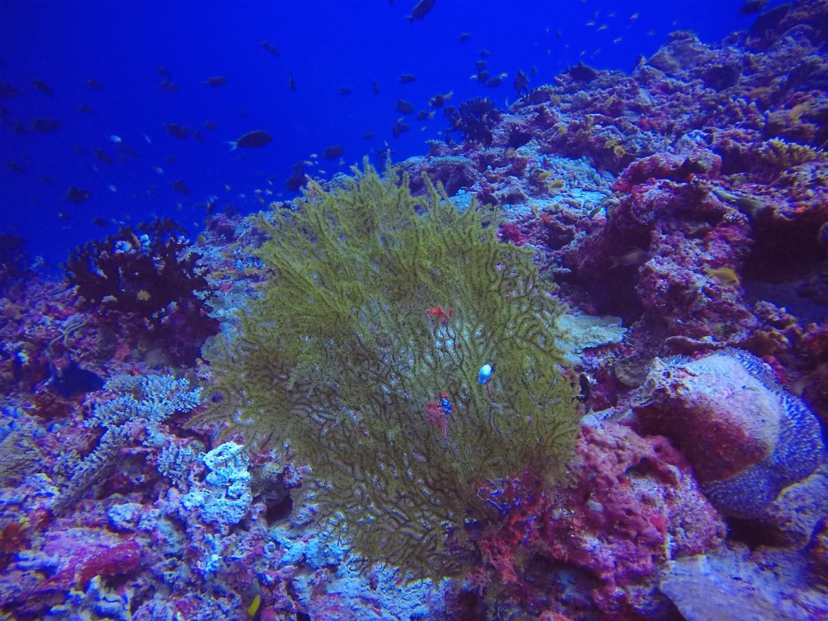 Holiday Home Rasdhoo Bagian luar foto