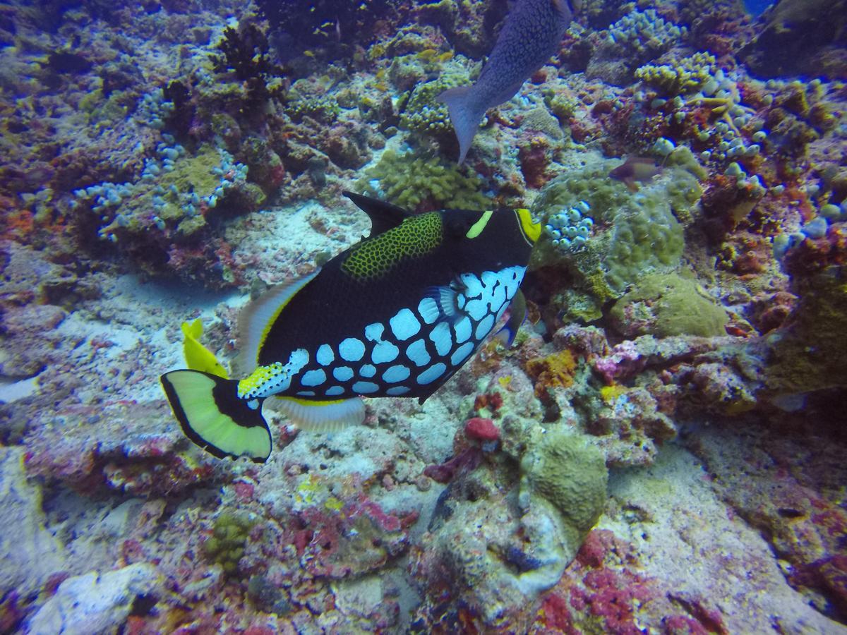 Holiday Home Rasdhoo Bagian luar foto